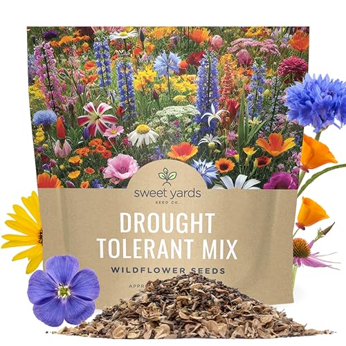 Drought Tolerant Wildflowers Mix &ndash; Extra Large Packet &ndash; Over 7,500 Open Pollinated Non-Gmo Seeds &ndash; 21 Different Dryland Species