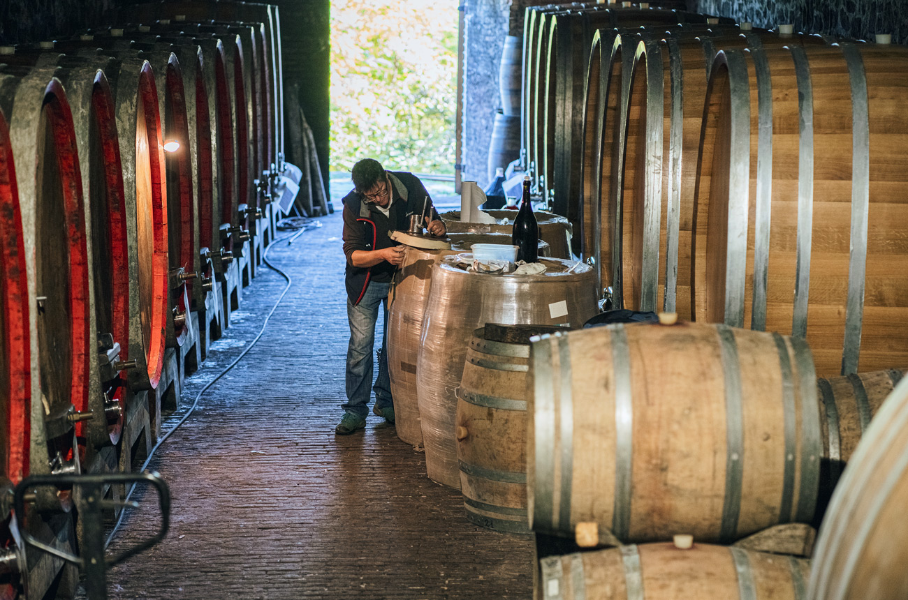 Luca de Marchi in the Sperino cellar.