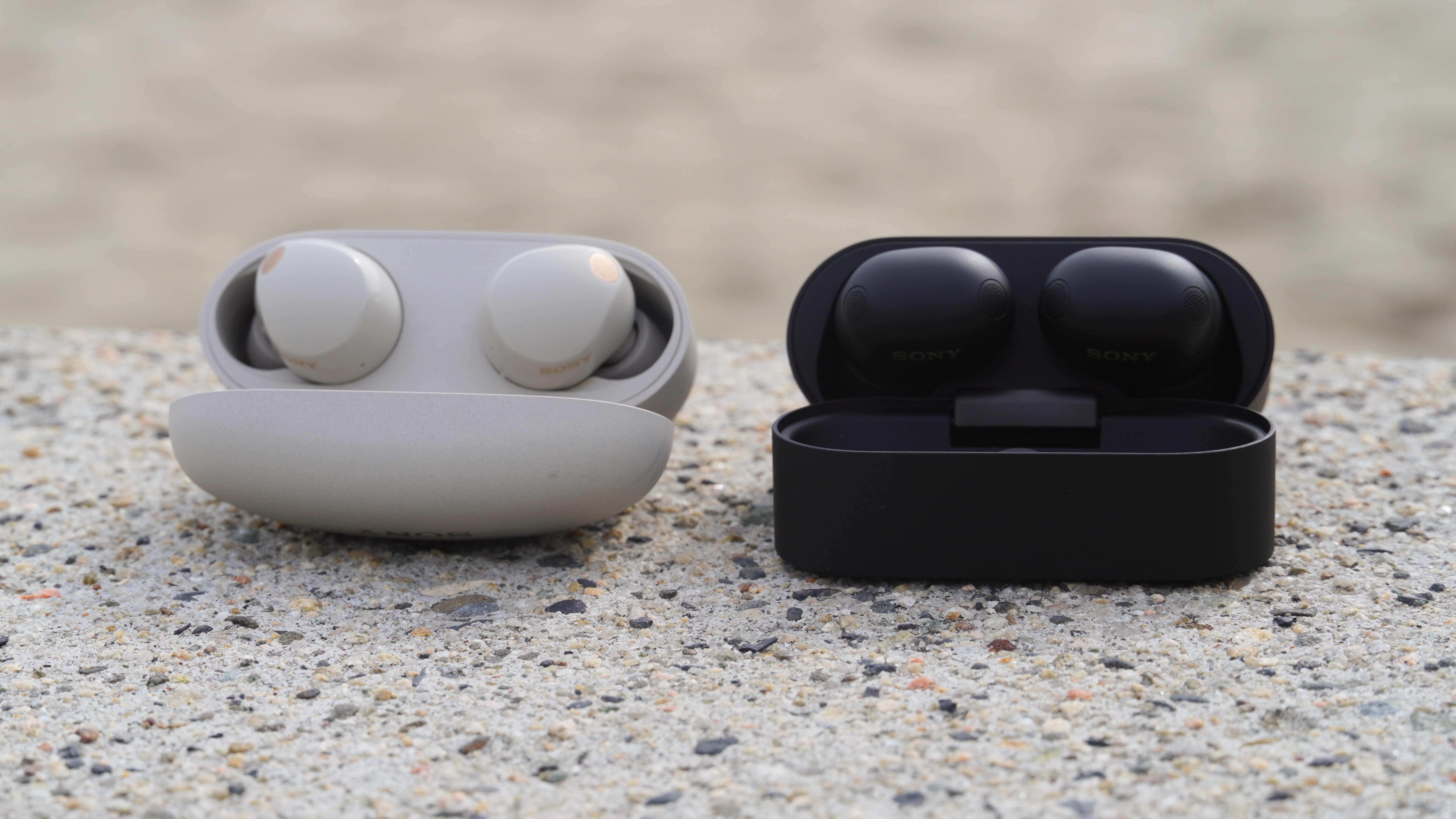 The Sony WF-1000XM5 in Platinum Silver compared to the Sony WF-1000XM6 in Black.