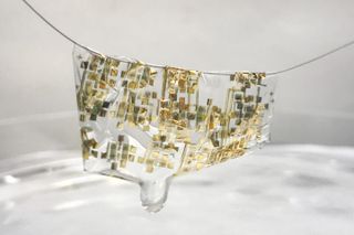 biodegradable semiconductor