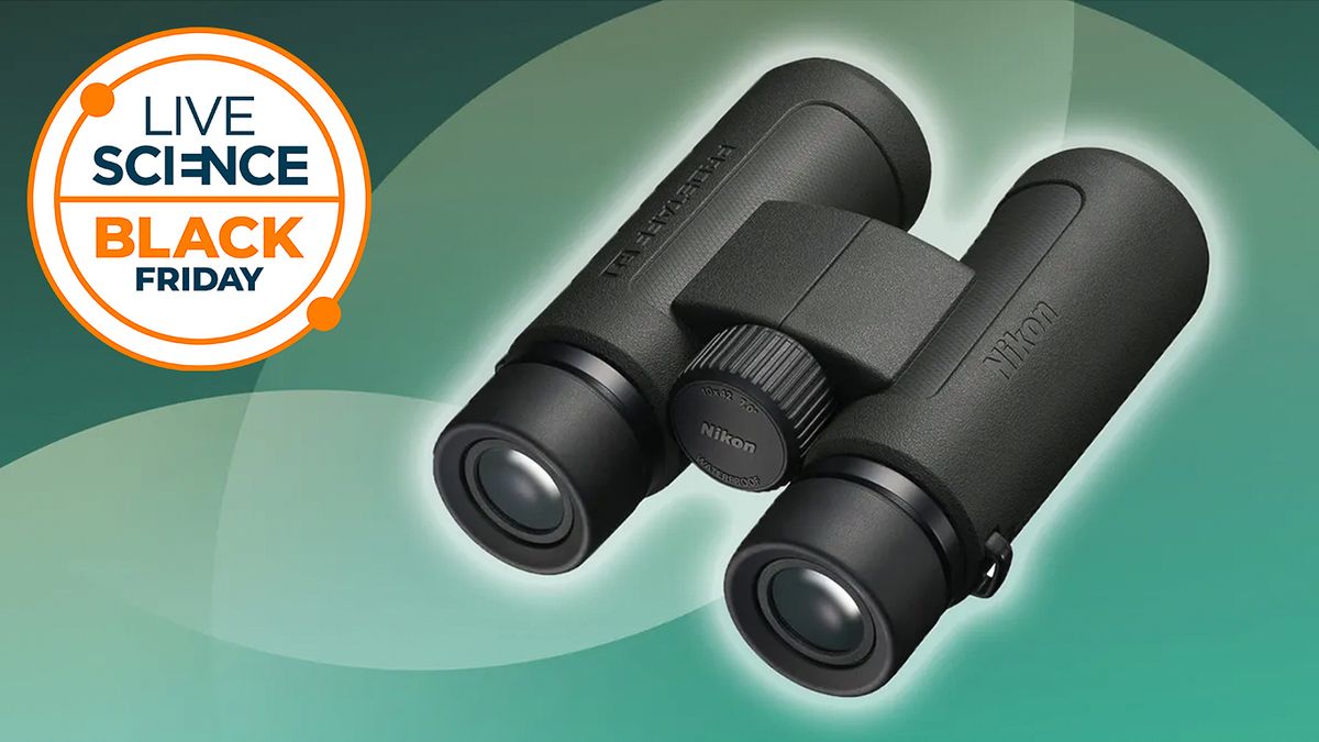 The lowest price we have seen for our favorite Nikon compact binoculars — get 35% off in this Black Friday deal