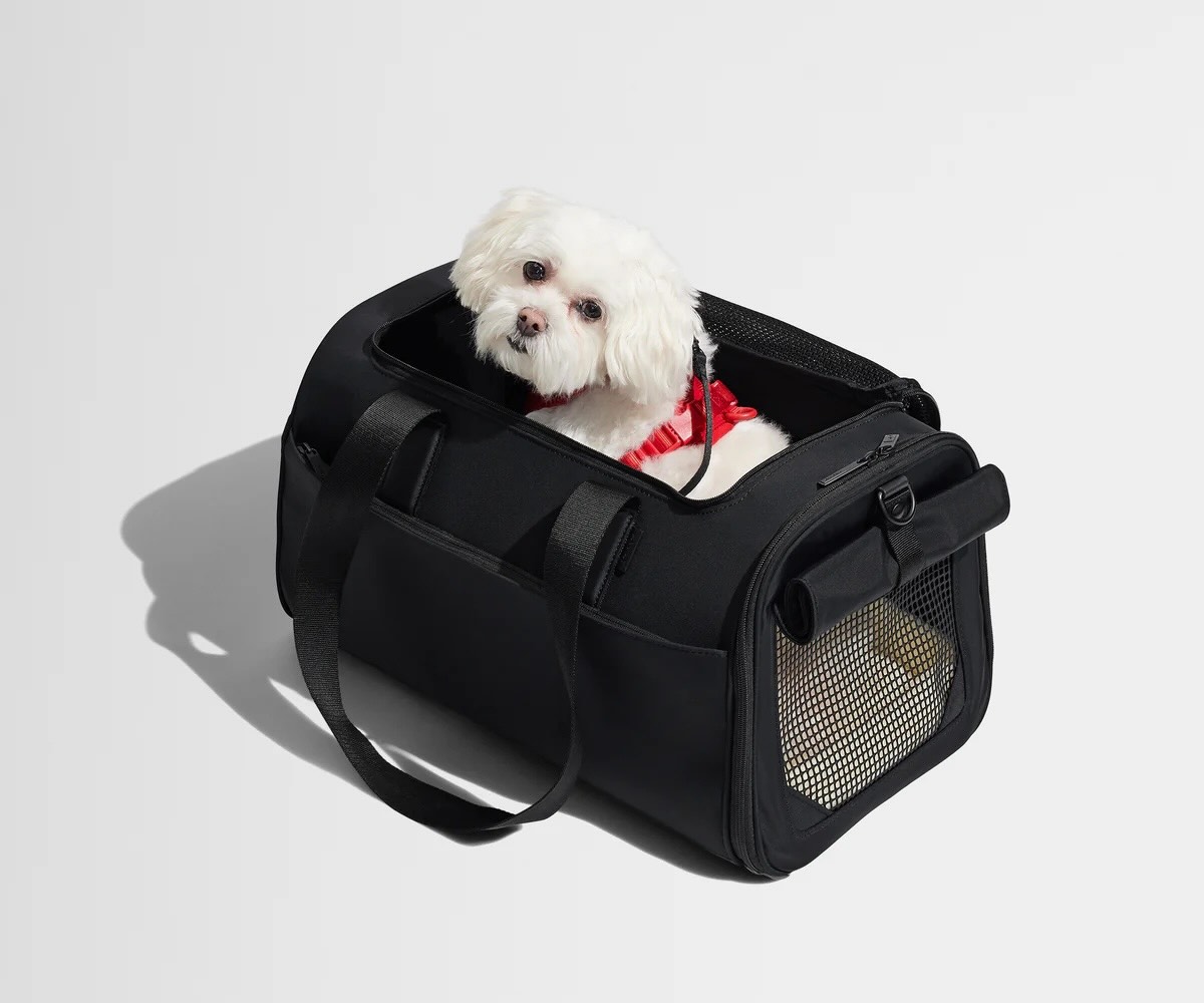 Away pet carrier