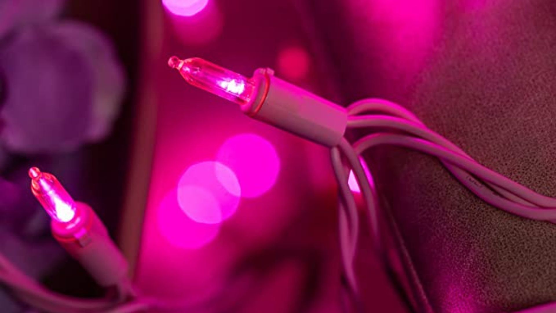 Best Christmas tree lights 2022 tried, tested and rated Woman & Home