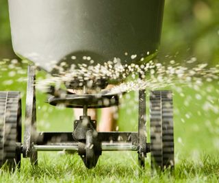 A spreader applying granular fertilizer over a lawn