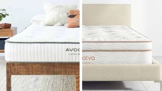 Saatva vs Avocado: image shows the Avocado Latex mattress on one side and the Saatva Latex Hybrid on the other