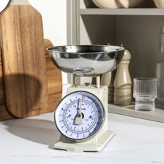Salter mechanical retro scales
