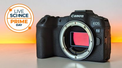 Canon EOS R8 on a table