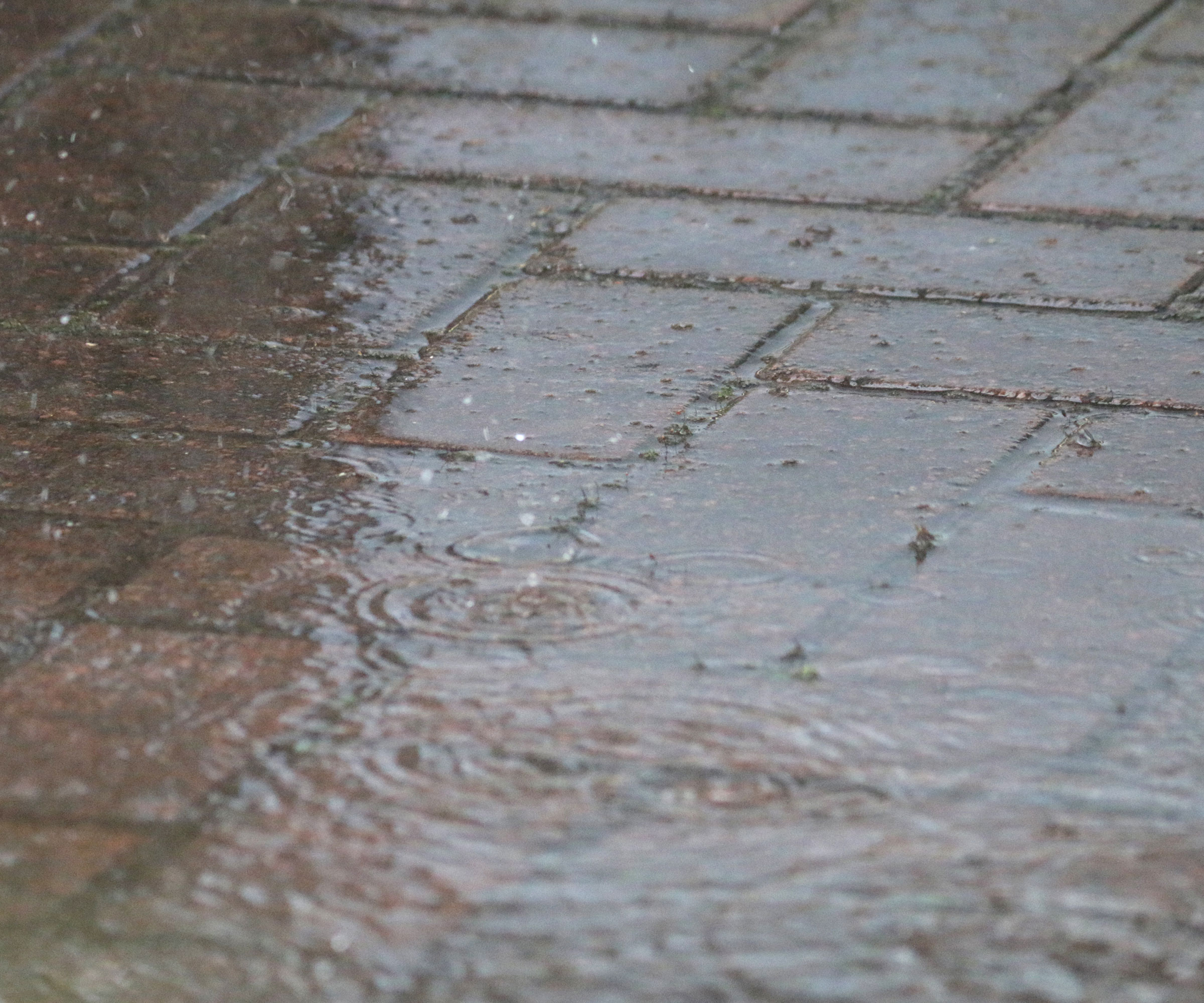 block paved driveway with pooling water