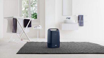 De'Longhi DEX216F air fryer in white room on dark rug with washing hanging
