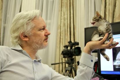 Assange makes a friend.
