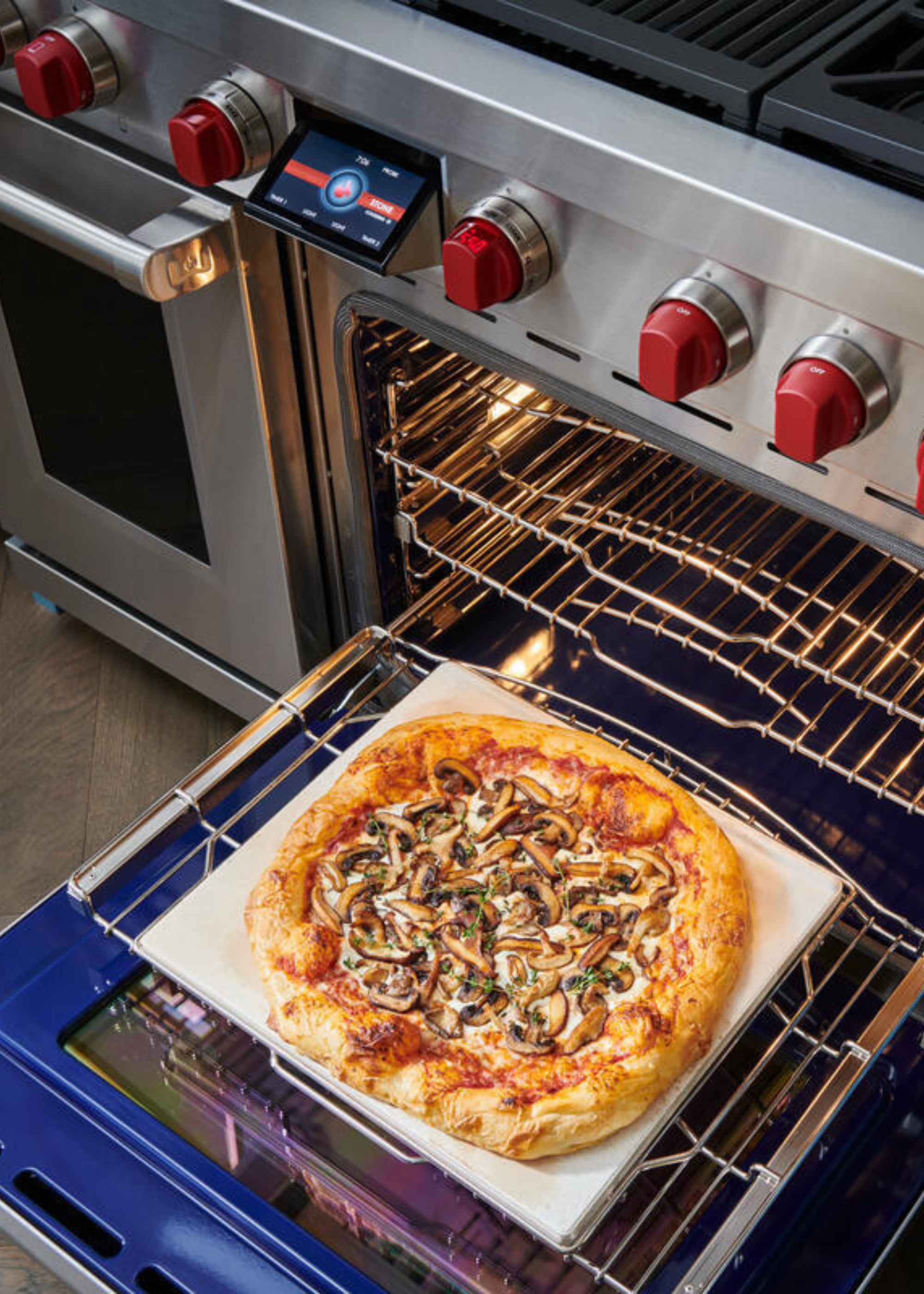 wolf oven with a ceramic stone and pizza inside