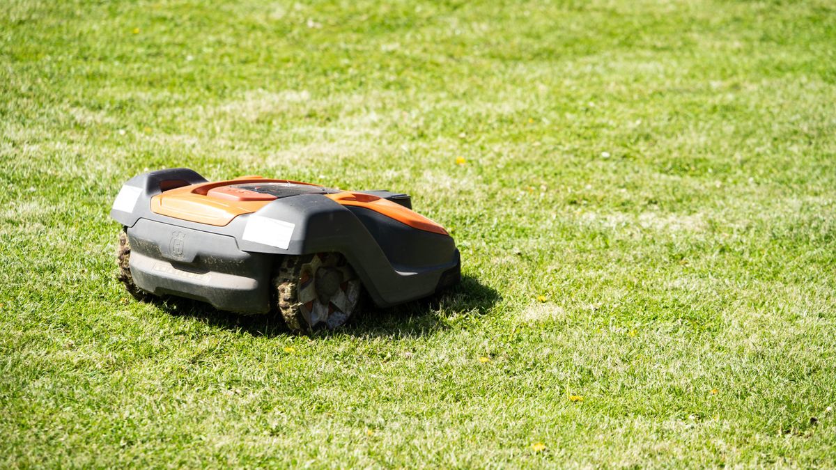 Best Robot Lawn Mowers: Which? Best Buys And Expert Buying Advice