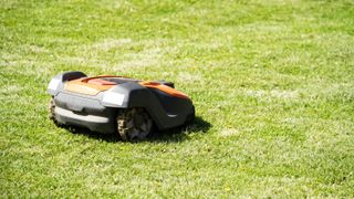 Robot lawn mower on grass