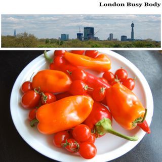 London Busy Body