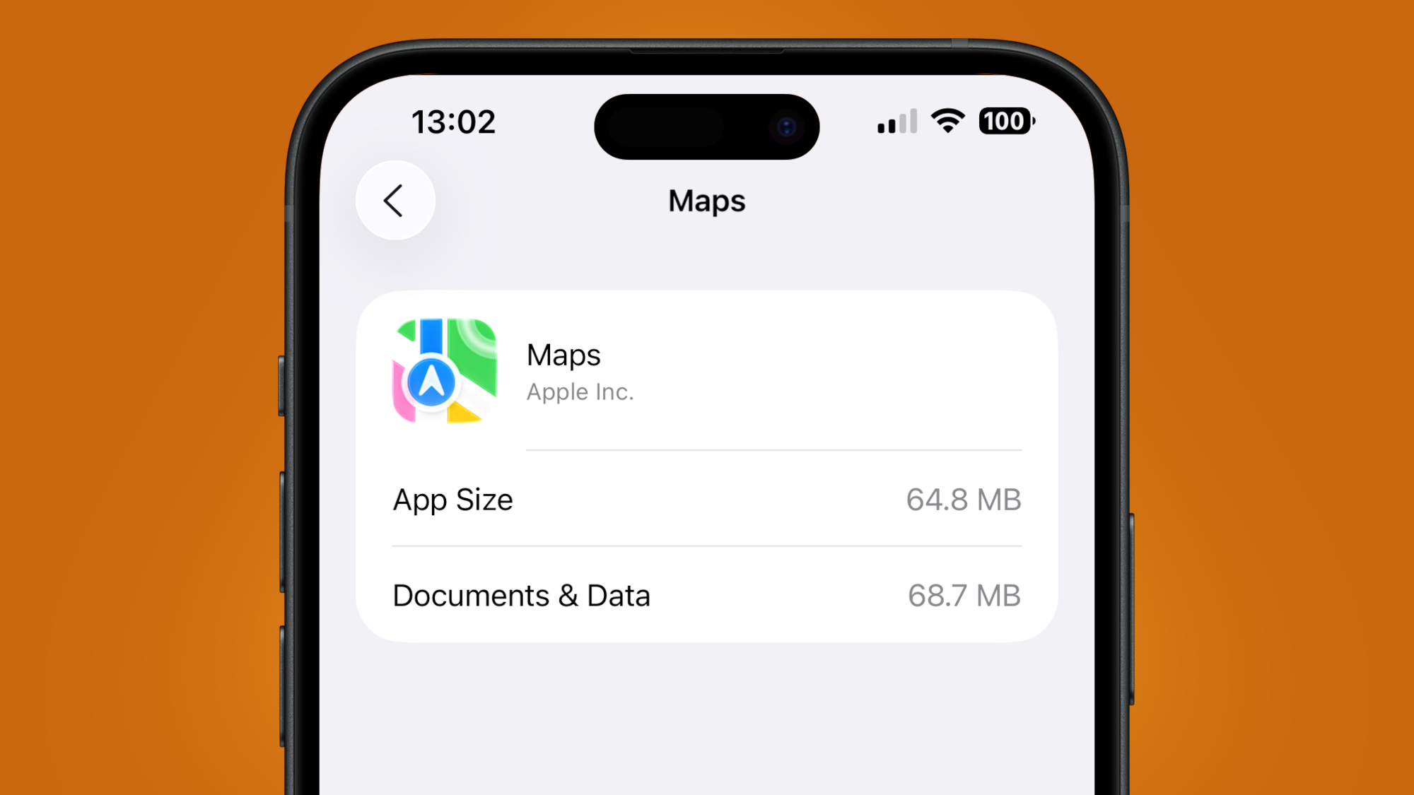 Screenshot of the Apple Maps app in iPhone storage