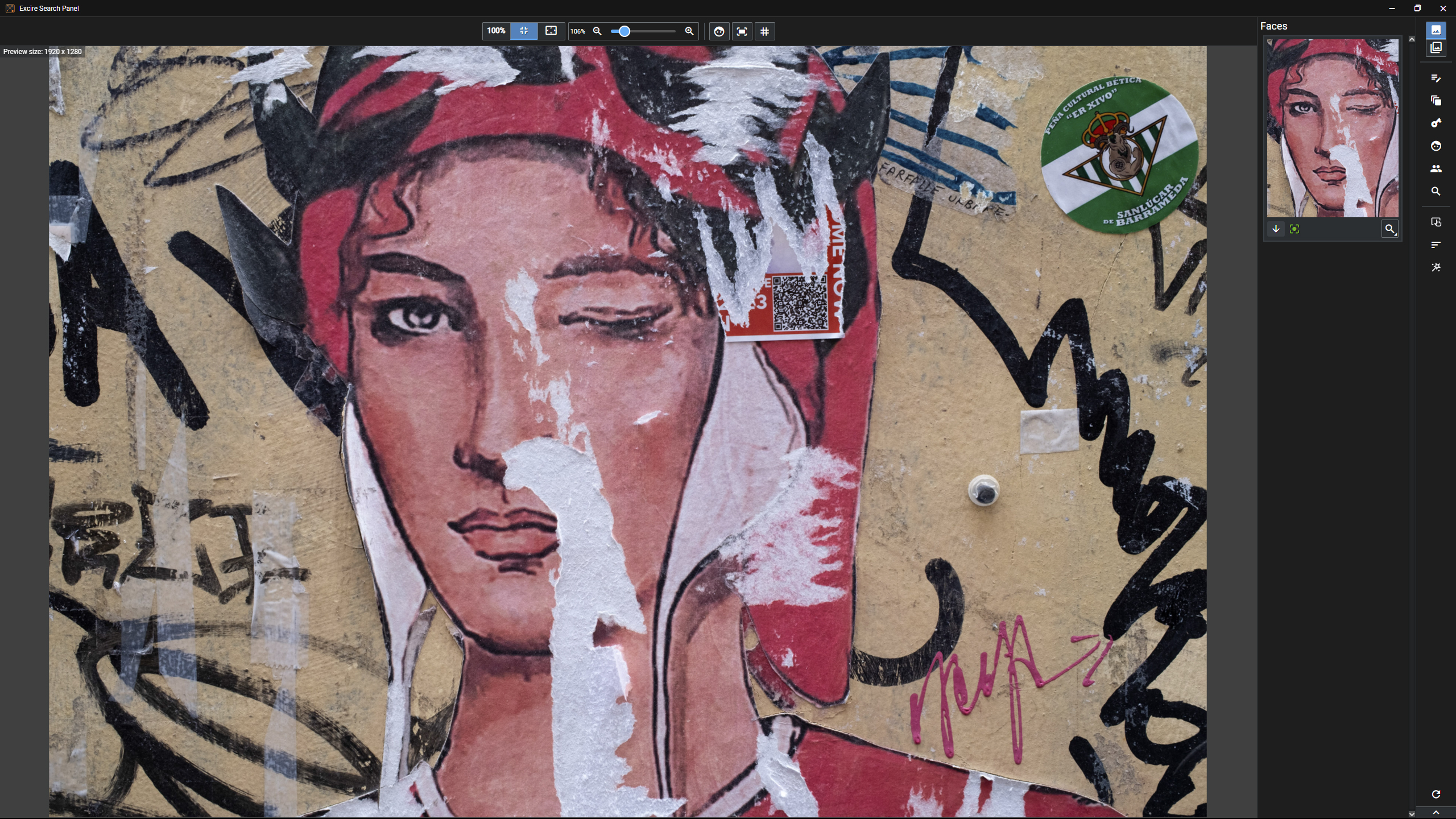 Excire Search 2026 interface