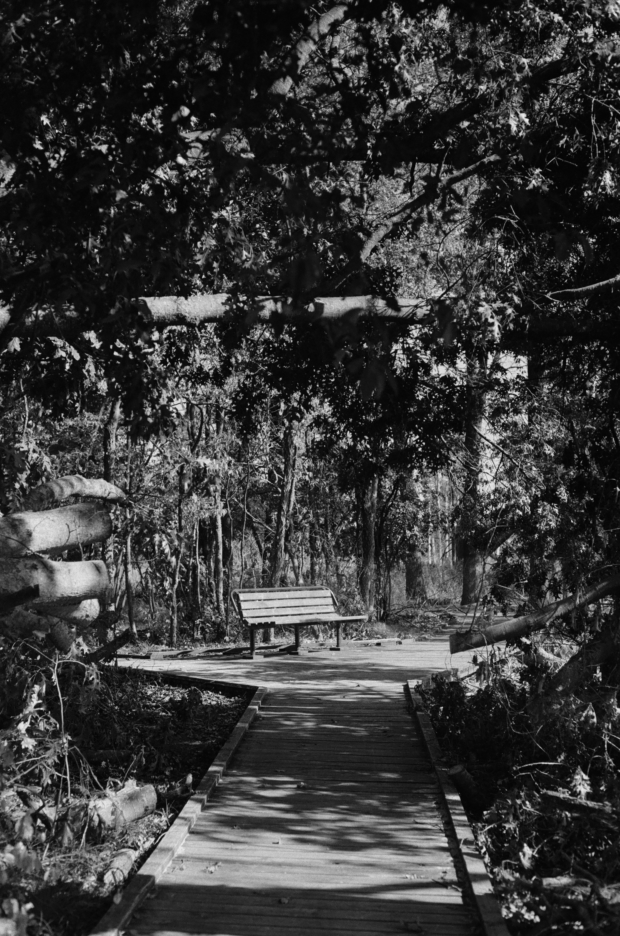 A black and white photography taken with the Pentax K1000