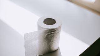 recycled toilet paper