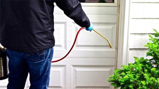 What to consider about pest control services - 36