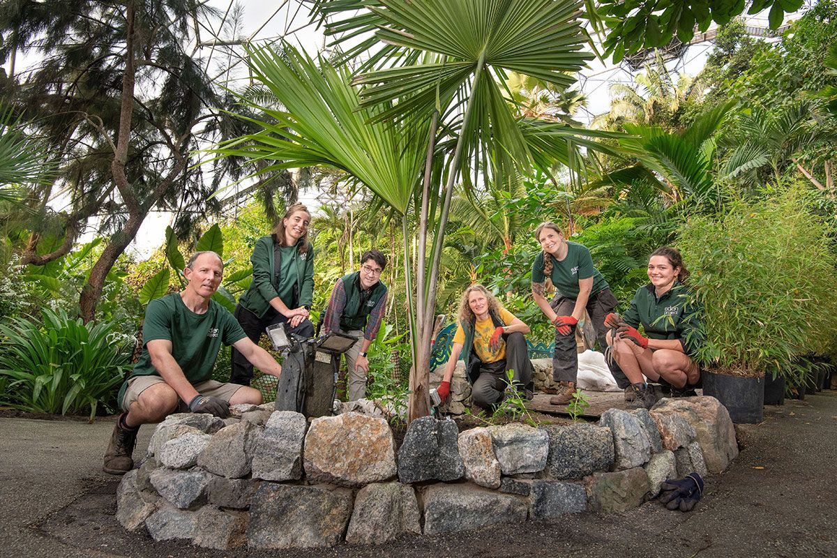 Members of the Eden Project staff with their Tahina spectabilis.