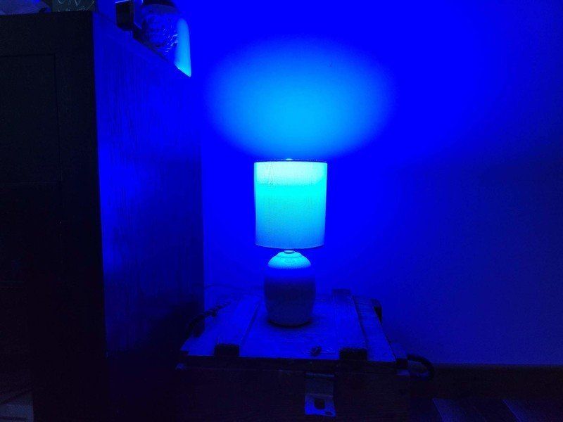 Wyze Bulb Color Blue Lifestyle