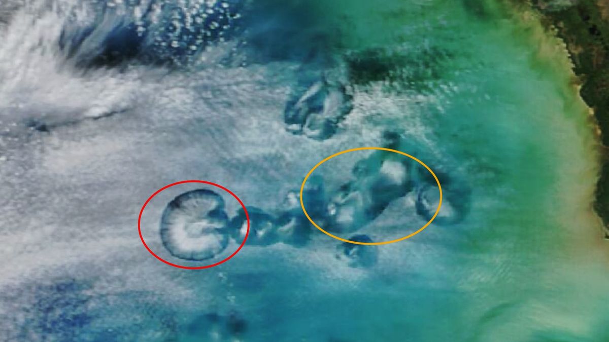 Satellite snaps eerily circular holes in the clouds above Florida. What ...
