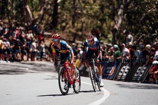 The riders take on stage 5 of the 2024 tour down under