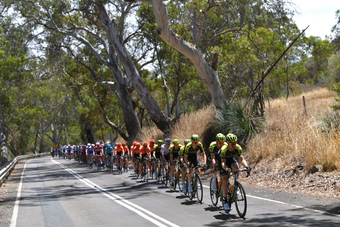 Mitchelton-Scott lead the bunch