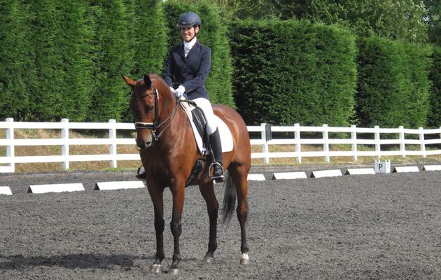 How to teach a horse to halt square Patchetts Equestrian Centre to close