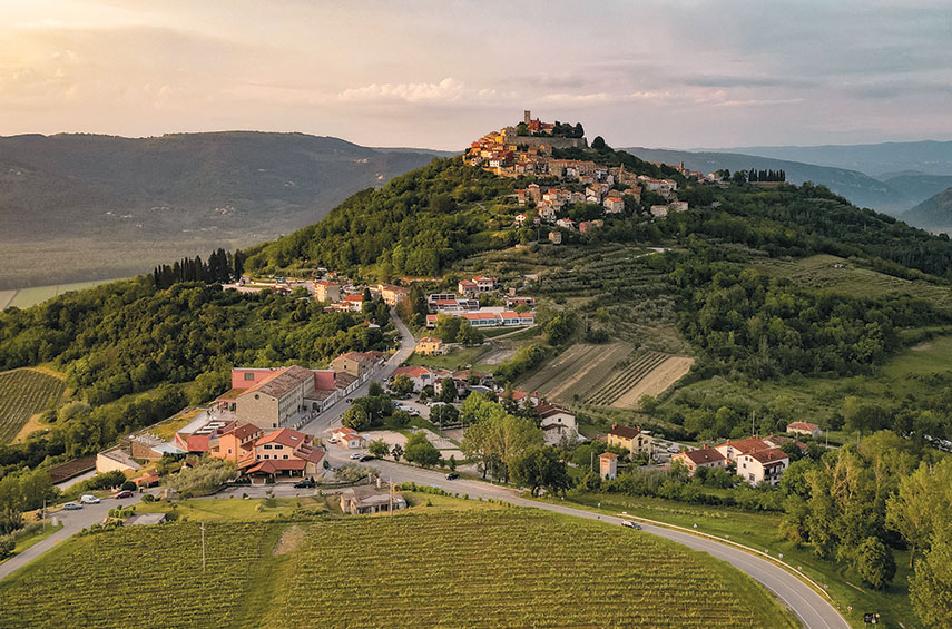 Motovun hilltown and Tomaz vineyards