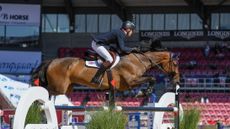 World Showjumping Championships results Joe Stockdale riding Equine America Cacharel in the first round of the World Showjumping Championships