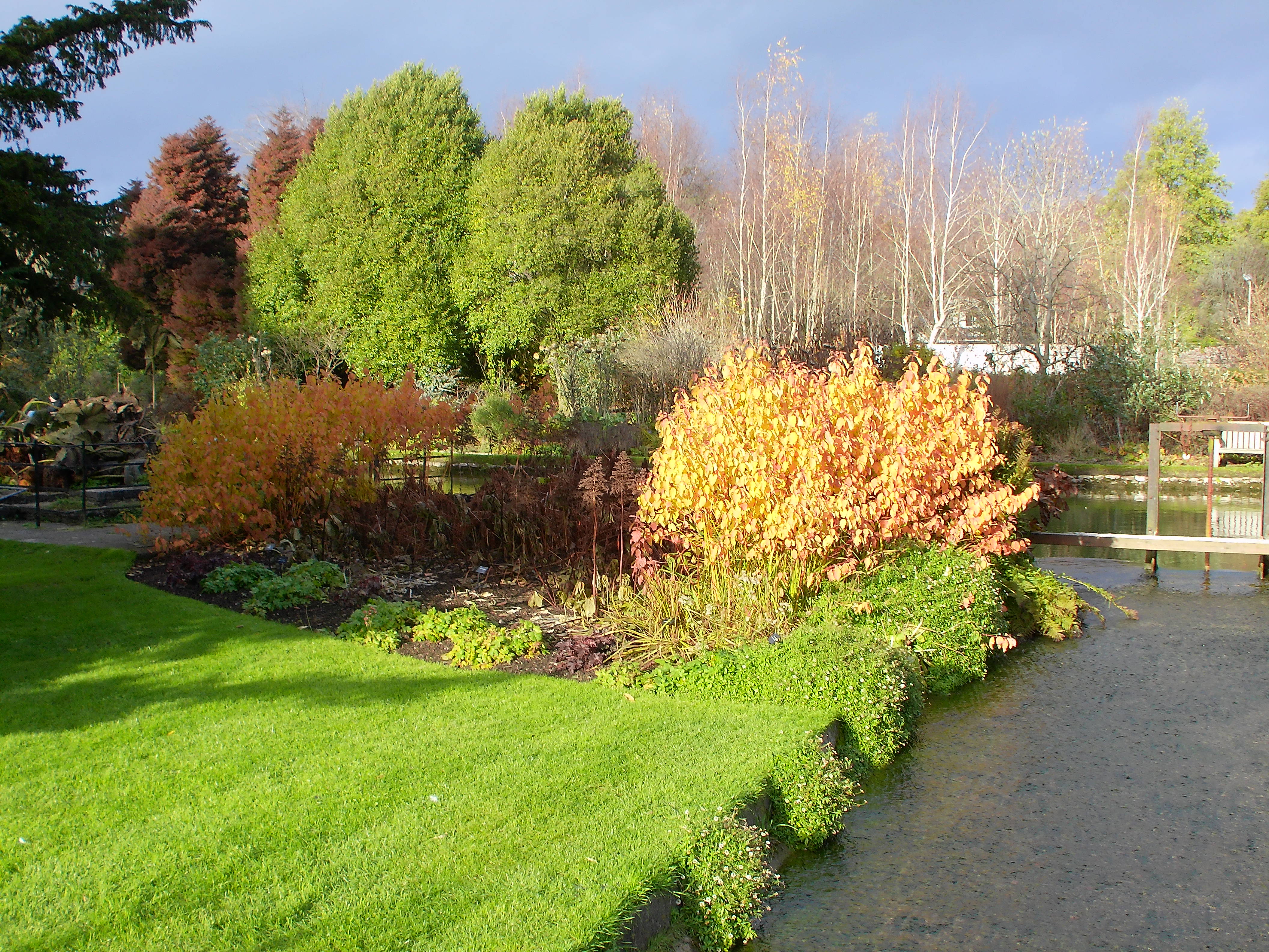 Yashica City 200 example shot