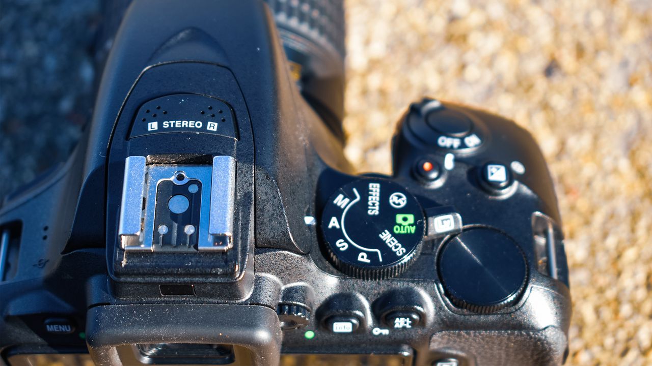 Nikon D5600 review: image shows back of Nikon D5600