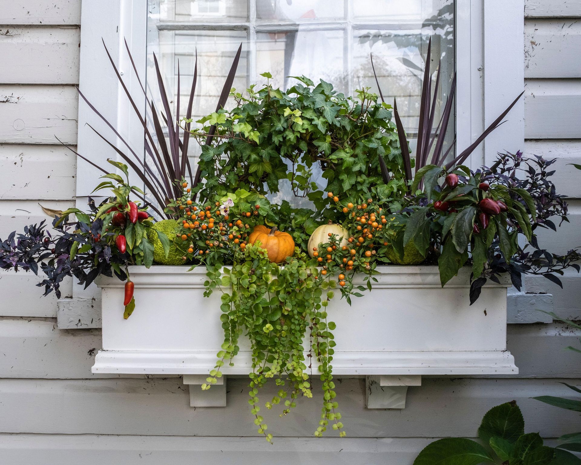 Fall window box ideas: 10 stylish looks for autumn | Gardeningetc