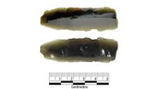 A small piece of obsidian, just over 5 centimeters long.