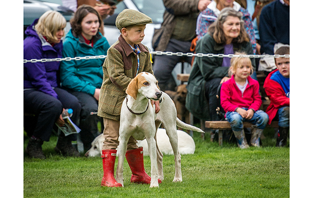 One young man shows a special bond with his hound during the young handler class
