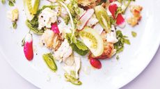 British style ceviche salad