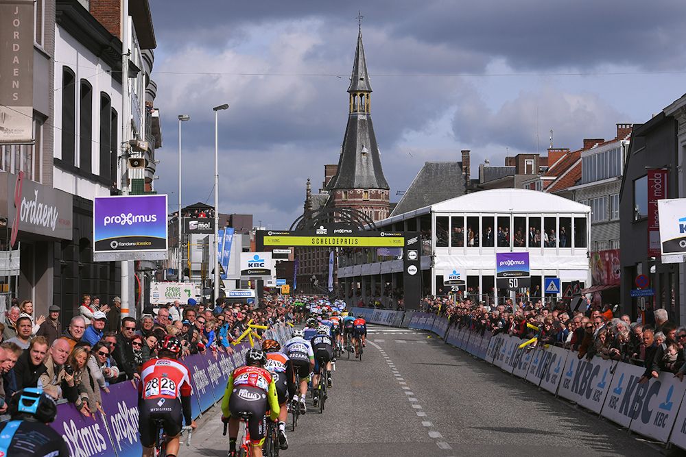 The Scheldeprijs peloton in action