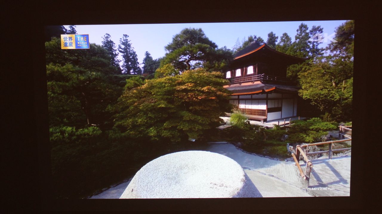 Projector sample image