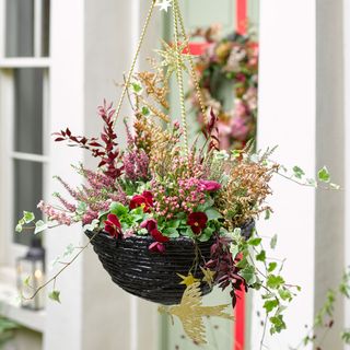 christmas hanging basket with flowers on white walls