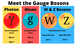 An illustration of three different gauge bosons: photons, gluons, and W and Z bosons.