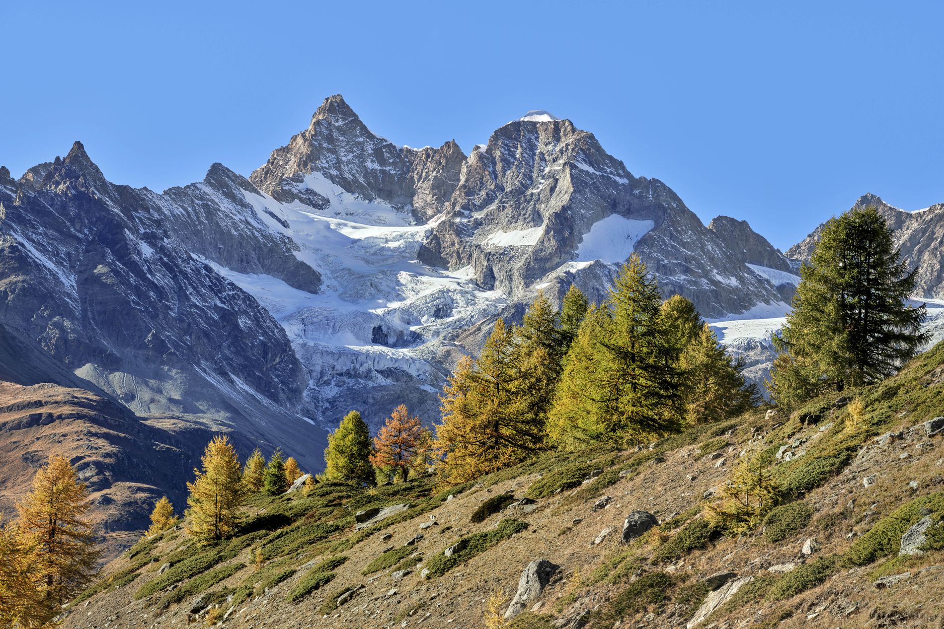 GuruShots - Nature March 2026