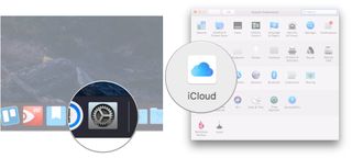 Open System Preferences, click iCloud