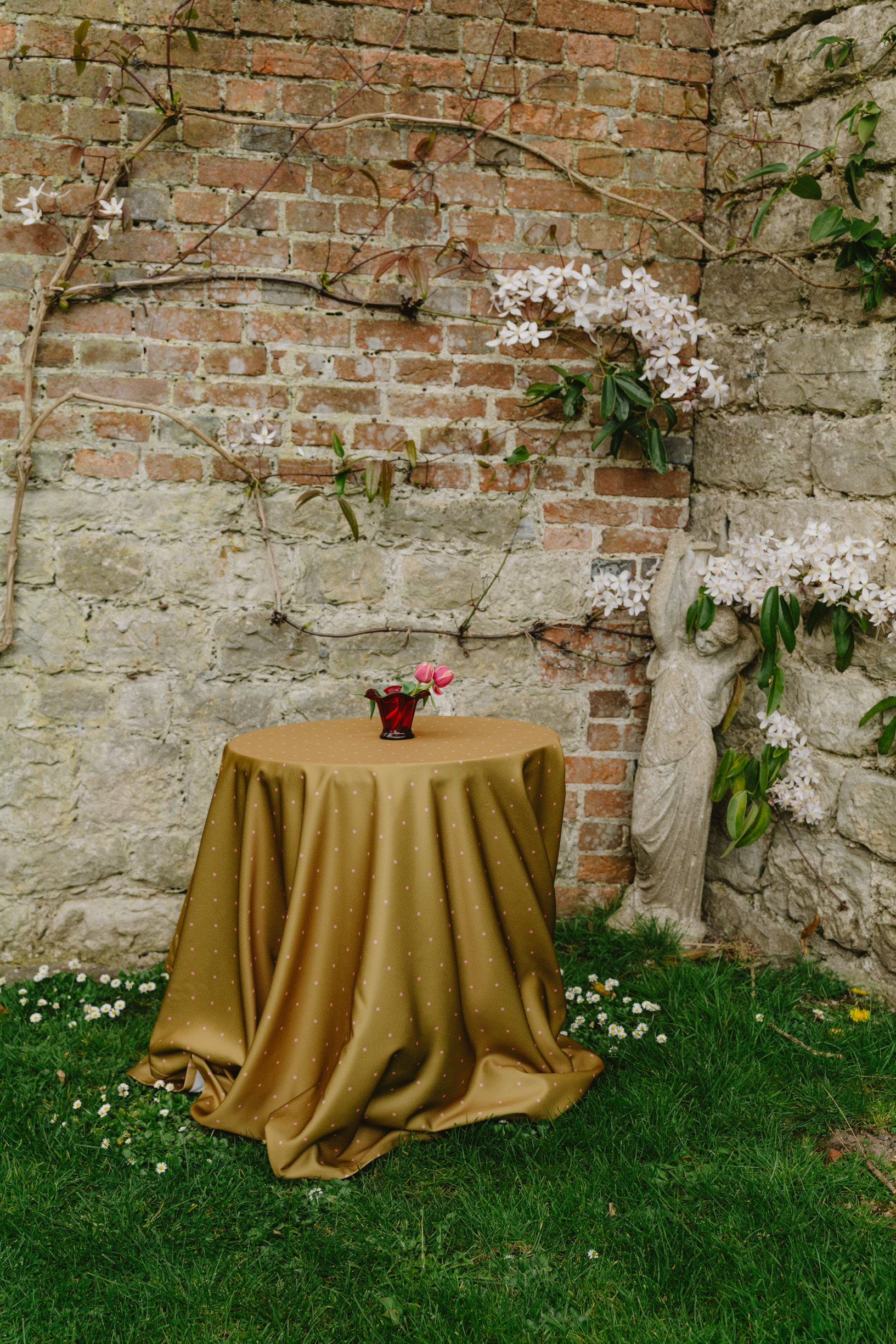 Image of a table in the corner of a garden with a mustard tablecloth with small pink polka dots.