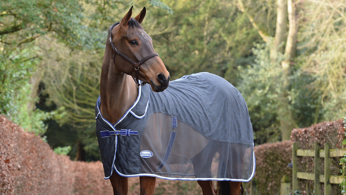 WeatherBeeta Wick Dri II cooler combo neck travel rug