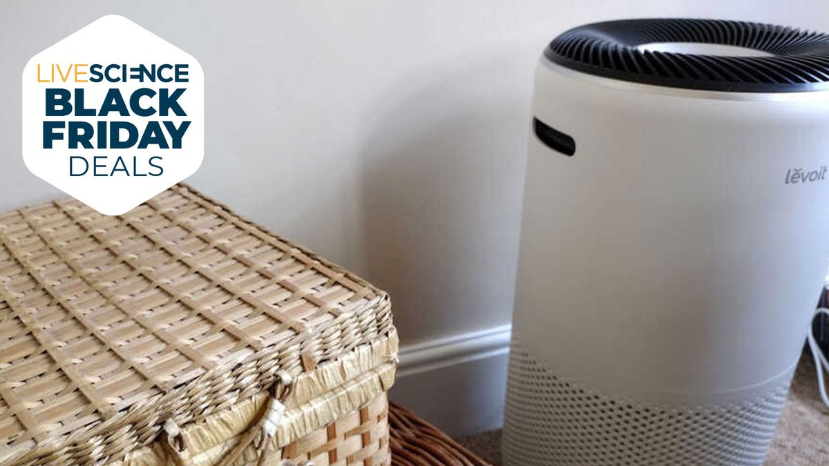 Save 25% on our favorite Levoit air purifier this Black Friday