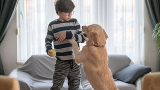 Dog jumping up at boy