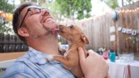 Puppy licking man's face
