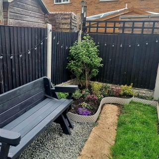 garden with bench and planting