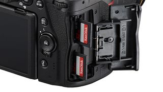 Nikon D780 review